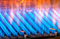 Newball gas fired boilers